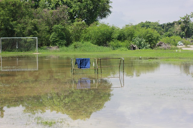 顯然也沒有 顯然也沒有
