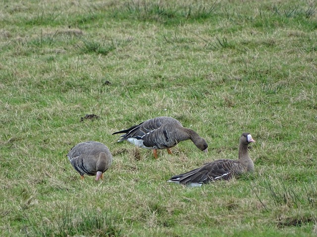 核心人物 核心人物