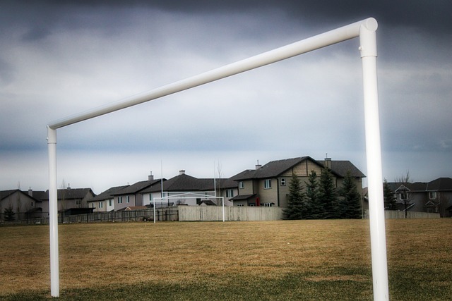 泰山将客战 泰山将客战