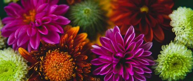 也为广大体 也为广大体