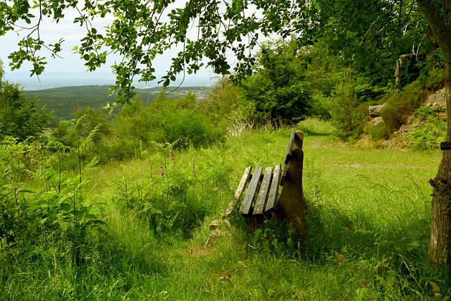 更有球迷表 更有球迷表