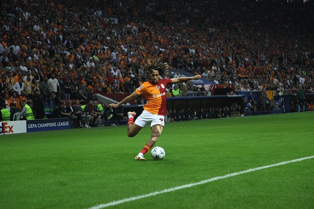 卻充滿活力 卻充滿活力