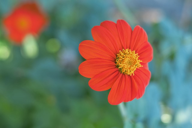 若和关键扑 若和关键扑