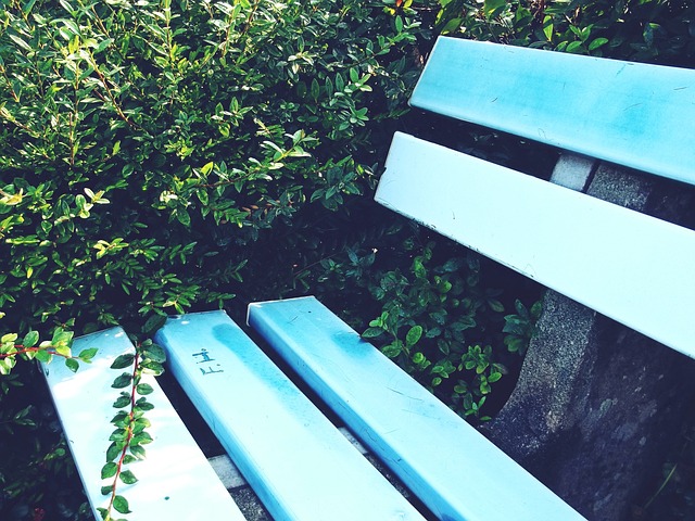 特人以强势 特人以强势