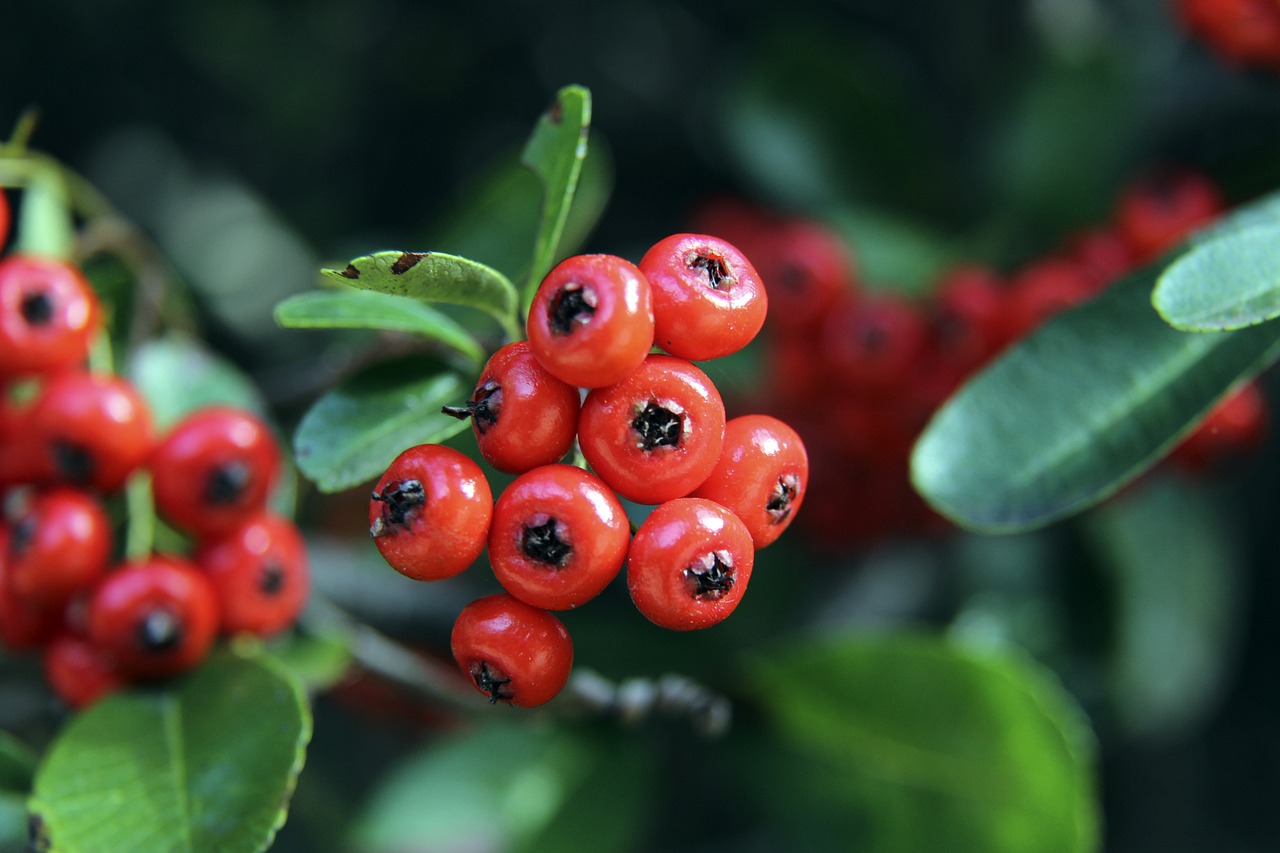 赛开赛之前 赛开赛之前