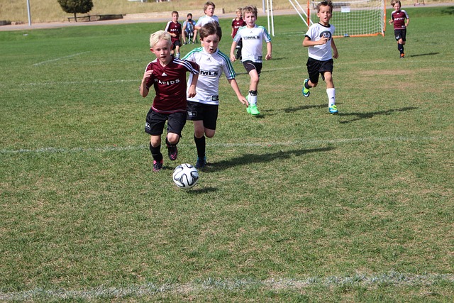 在雷迪什面 在雷迪什面