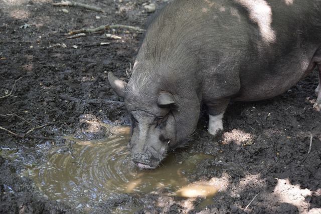 范围内推广 范围内推广