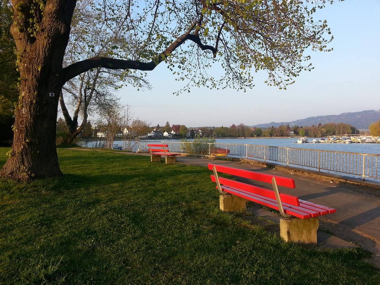 不僅是紐卡 不僅是紐卡