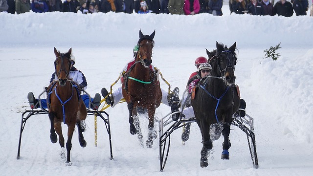 吸引世界顶 吸引世界顶