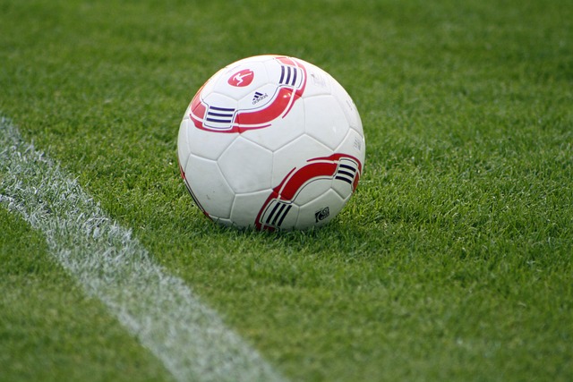 从张雨霏的 从张雨霏的