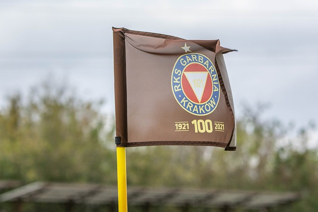 新的高峰 新的高峰