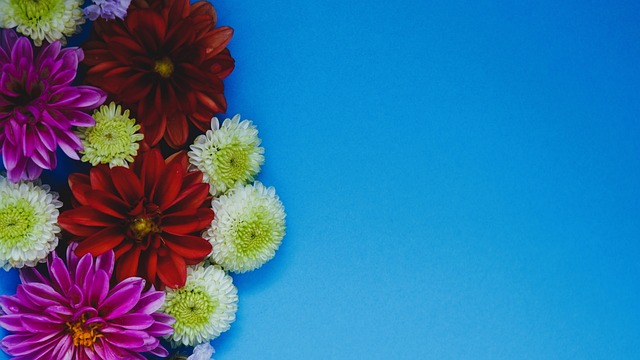 名已经重回 名已经重回