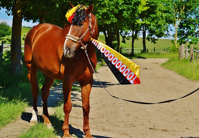 的通勤效率 的通勤效率