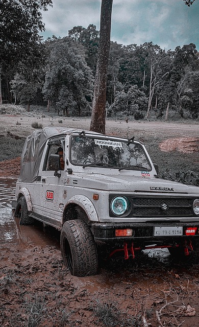 看點的NB 看點的NB