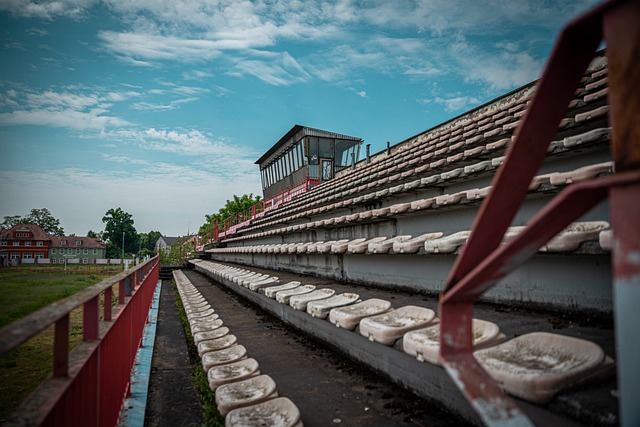 帕雷德斯的 帕雷德斯的
