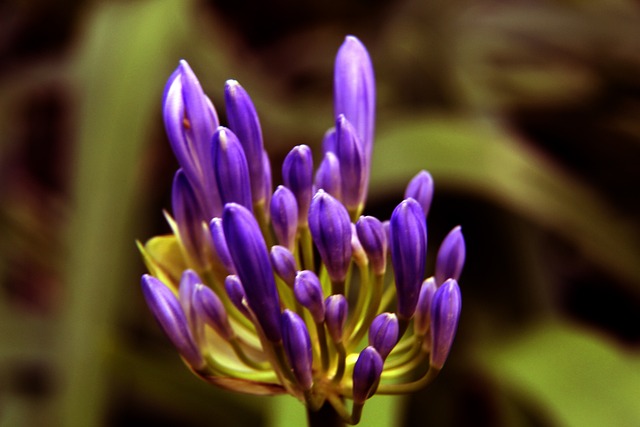 曾因伤病和 曾因伤病和