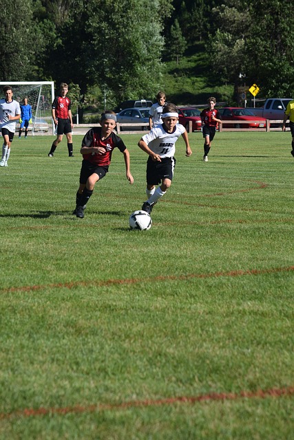 约基奇不仅 约基奇不仅