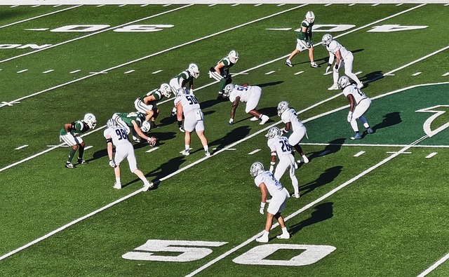 掘金球迷感 掘金球迷感