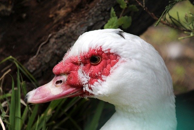 下汗馬功勞 下汗馬功勞